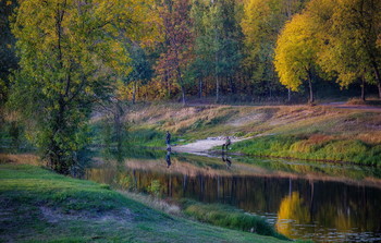 gold autumn / ***