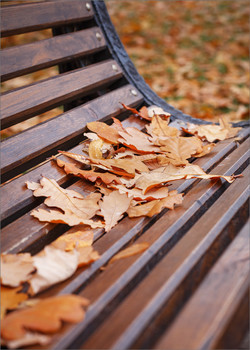 Autumn etude / ***