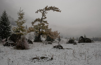 On the first snow. / ***