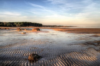 Low tide / ***