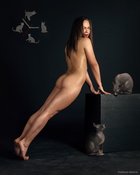  / ***