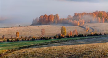 Misty / ***