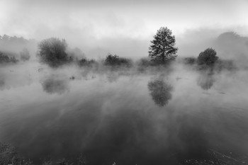 The smell of autumn / ***