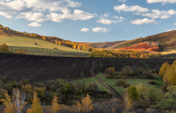 Autumn / ***