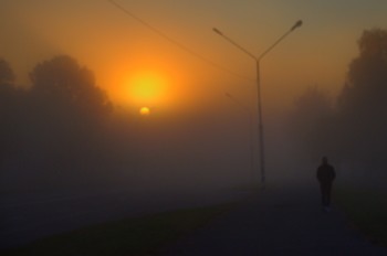 in fog / ***