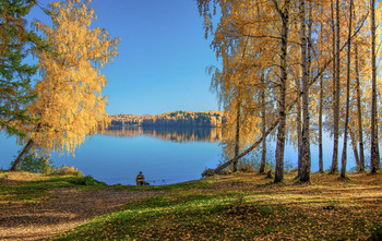 Herbst / ***