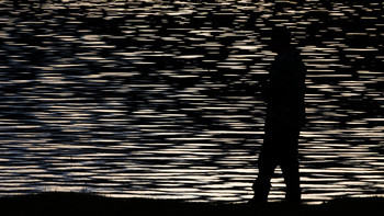on the shore / ***