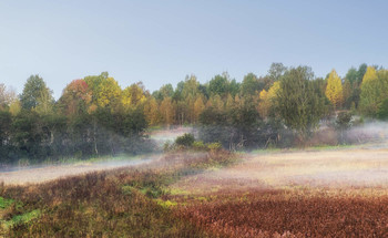 Herbstsonate / ***