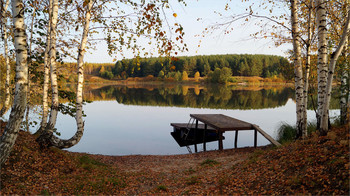 Herbstsonate / ***