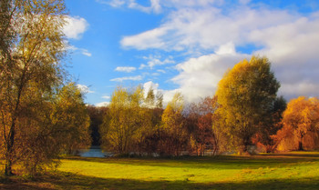Autumn Sonata / ***