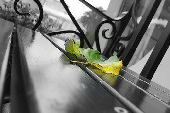 Herbstsonate / ***