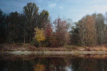 Autumn Sonata / ***
