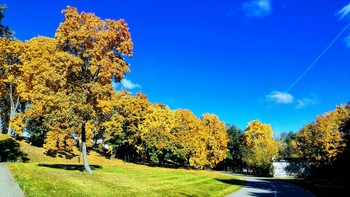 Autumn Sonata / ***