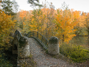 Autumn Sonata / ***