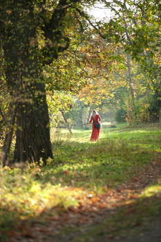 Autumn Sonata / ***