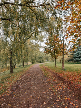 Autumn road / ***