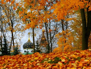 Herbstsonate / ***