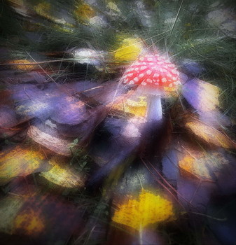 Herbstsonate / ***
