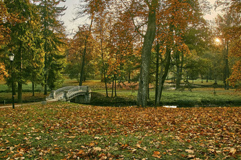 Autumn Sonata / ***