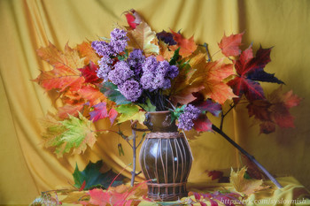Autumn Sonata / ***