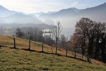 Herbstsonate / ***