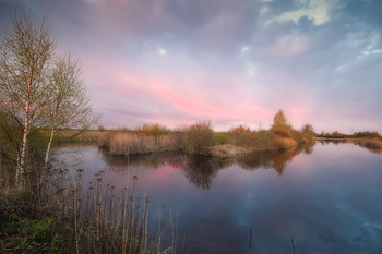 &nbsp; / _______________