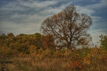Warm October / ***