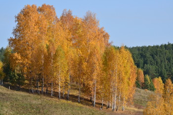 colors of autumn / ***