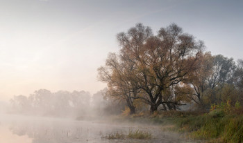 Autumn / ***