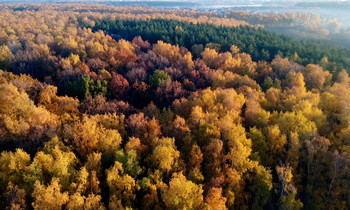 Herbstfarben / ***