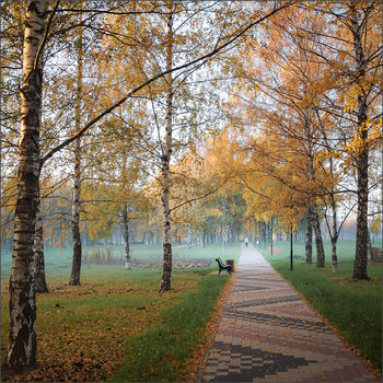 Im Herbst des Parks ... / ***