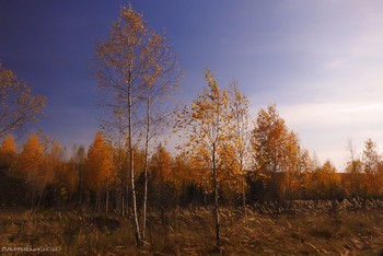 No name / ...