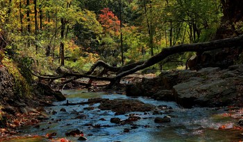 October has in the yard ... / ***