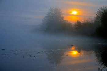Morgen / ***