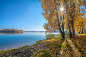 Autumn afternoon / ***