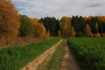 Autumn colors / ***