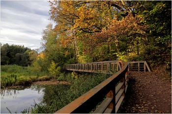 autumn / ***