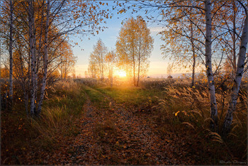Redhead Autumn / ***