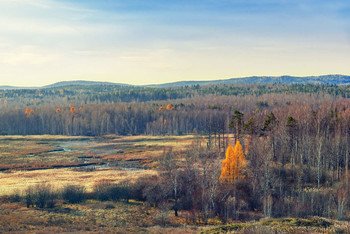 autumn / ***