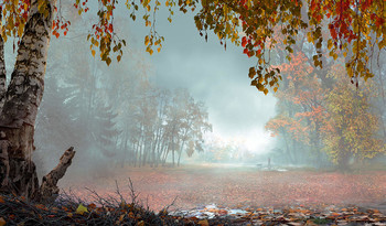 End of October / ***