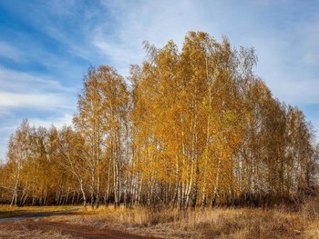 all the colors of autumn / ***