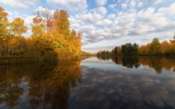 all the colors of autumn / ***