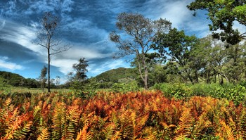 allen Farben des Herbstes / ***