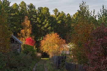 Autumn colors. / ***