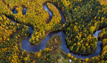 all the colors of autumn / ***