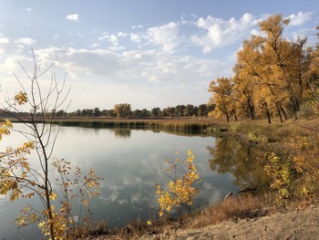 allen Farben des Herbstes / ***