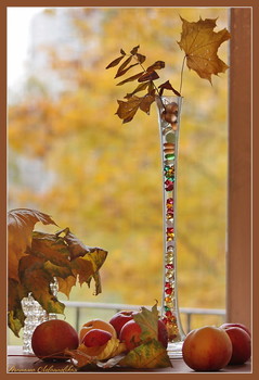 all the colors of autumn / ***