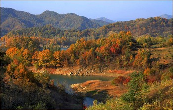 all the colors of autumn / ***
