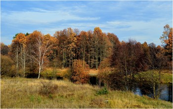 all the colors of autumn / ***