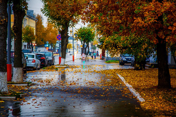 all the colors of autumn / ***